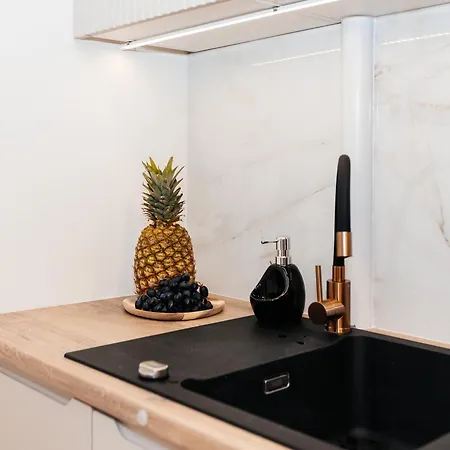 公寓 Maya's Flats & 27 - Beautiful On 格但斯克