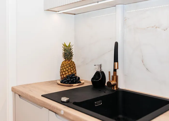 公寓 Maya's Flats & 27 - Beautiful On 格但斯克